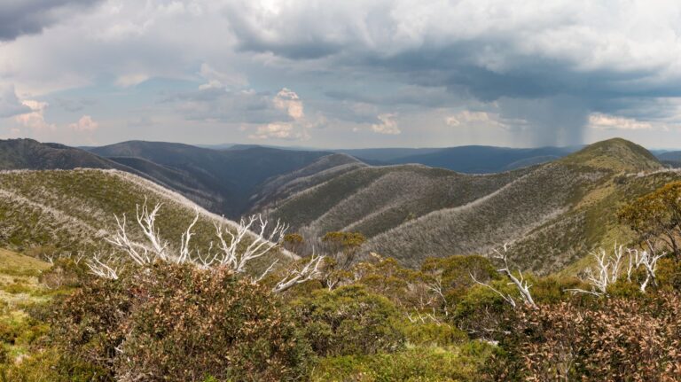 Alpine Region in the Victorian High Country in Australia. Aerial views of the stunning hills and forests of the national park.